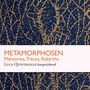 "METAMORPHOSEN Memories, Traces, Rebirths. Luca Quintavalle harpsichord." Goldene Linien auf dunkelblauem Hintergrund.