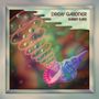 Drew Gardner: Rabbit Ears, LP