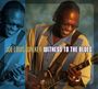 Joe Louis Walker: Witness To The Blues, CD