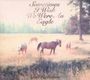 Bill Callahan: Sometimes I Wish We Were An Eagle, CD