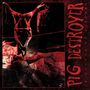 Pig Destroyer: 38 Counts Of Battery (Reissue) (remastered), LP