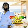 Ginjah: Soul Connection, CD