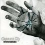 Cesium 137: Identity, CD