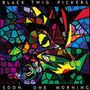 Black Twig Pickers: Soon One Morning, CD