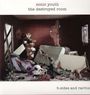 Sonic Youth: The Destroyed Room: B-Sides & Rarities, LP,LP