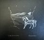 Cate Kennan: Shadows, CD
