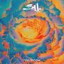 311: Full Bloom, CD