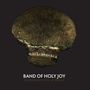 Band Of Holy Joy: Fated Beautiful Mistakes, LP