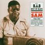 Washboard Sam: Washboard Sam: Best Of Blues Vol.1, CD