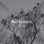 Gallhammer: The End (Black Vinyl), LP