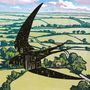 Bibio : Sleep On The Wing, LP