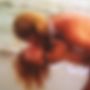 Special Request: Bedroom Tapes, CD