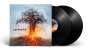 Amorphis: Skyforger, LP,LP