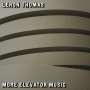 Leron Thomas: More Elevator Music, LP