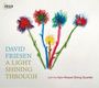David Friesen: Light Shining Through, CD