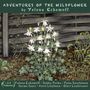 Yelena Eckemoff: Adventures Of The Wildflower, CD,CD