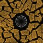 : Sandworms (The Songs Of Howe Gelb And Giant Sand), LP