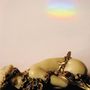 Josephine Foster: No More Lamps In The Morning, LP