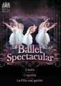 : Royal Ballet Covent Garden - Ballet Spectacular, DVD,DVD,DVD