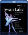 : Ballet de l'Opera National de Paris:Schwanensee (Blu-ray), BR