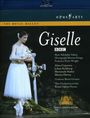 : The Royal Ballet:Giselle (Adam) (Blu-ray), BR