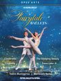 "Fairytale Ballets" in geschwungener Schrift auf blauem Hintergrund. Zwei Balletttänzer in eleganter Pose voller Anmut.