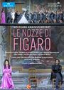 Wolfgang Amadeus Mozart: Die Hochzeit des Figaro, DVD,DVD