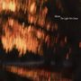 Darren Bloom: The Light We Chase, LP