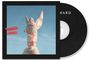 Texte: "DOWNWARD (2)" und "DELUXE". Eine eingewickelte Statue erhebt die Arme vor blauem Himmel.