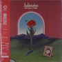 Bedouine: Bird Songs Of A Killjoy (Black Vinyl), LP
