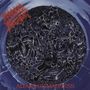 Morbid Angel: Altars Of Madness, LP