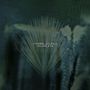 Thomas Giles (Tommy Rogers): Velcro Kid, LP