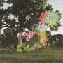 Medicine: Home Everywhere, LP