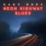 Gary Hoey: Neon Highway Blues (180g), LP