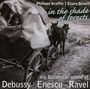 George Enescu: Impressions d'Enfance für Violine & Klavier, CD