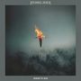 Stoned Jesus: Songs To Sun, CD