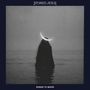 Text: "STONED JESUS", "SONGS TO MOON". Eine Person steht im Wasser, ein Halbmond leuchtet über ihrem Kopf.