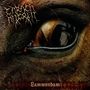 Carach Angren: Lammendam (Re-Release), CD