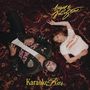 Angus & Julia Stone: Karaoke Bar, CD