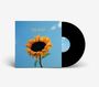 „The Snuts, Marnarchists.“ Plattenhülle mit Sonnenblume auf blauem Hintergrund, daneben eine schwarze Schallplatte.