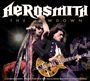 Aerosmith: Lowdown, The, CD