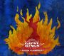 Gipsy Kings: Savor Flamenco, CD