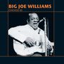 Big Joe Williams (Guitar / Blues): Chicago 63, CD
