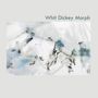 Whit Dickey: Morph, CD,CD