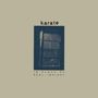 Karate: In Place Of Real Insight (Limited Indie Edition) (Indigo Blue Vinyl), LP