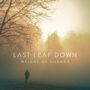 Last Leaf Down: Weight Of Silence, CD