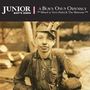 A Boys Own Odyssey/Terry Farley..., CD