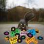 Evidence (Rap / Hip-Hop): Squirrel Tape Instrumentals Vol.1 (Limited Edition) (Colored Vinyl), LP