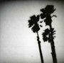 The Twilight Singers: Blackberry Belle, CD