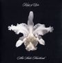 Kings Of Leon: Aha Shake Heartbreak (2 x 10"), LP